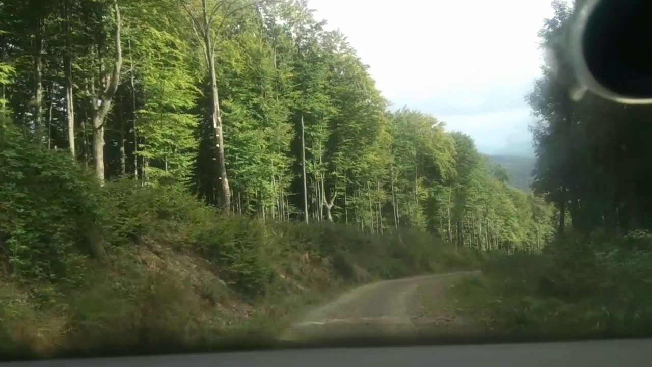 Гора Апецька. Спуск з гори Апецька.