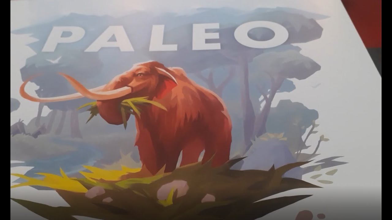 Paleo - Partie Solo - Module C + D