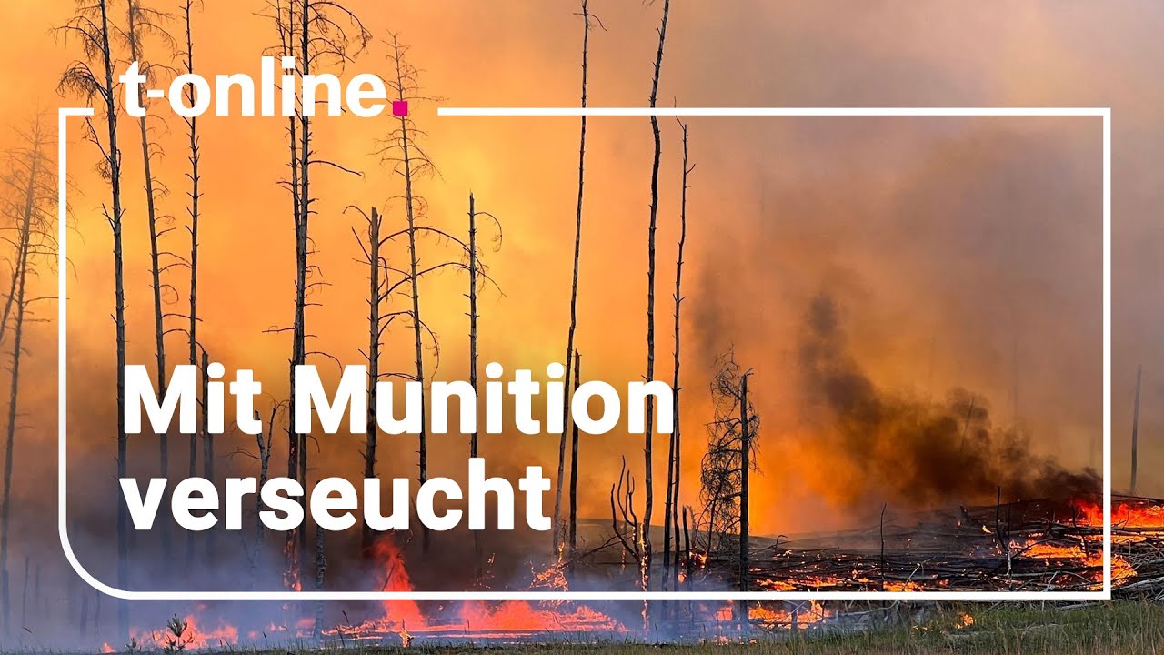 Waldbrand in Lübtheen: Reporter zeigt die Zustände vor Ort