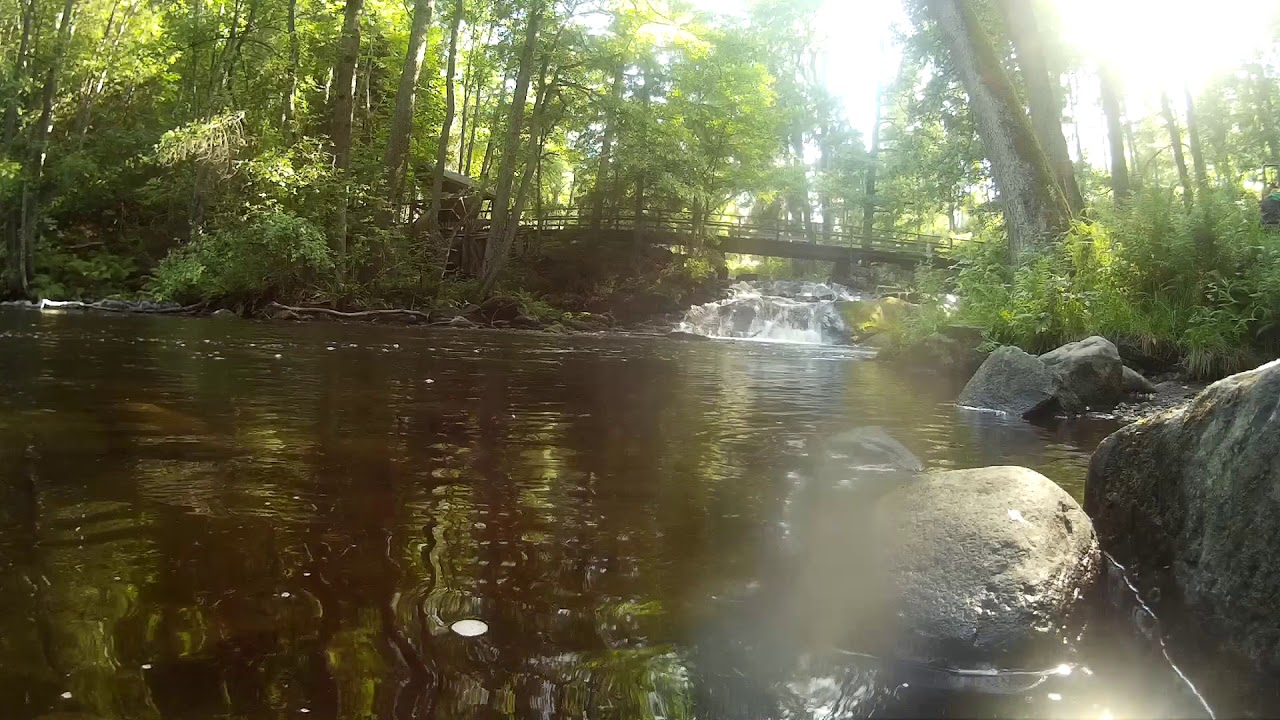 🎧 RELAX ~  Ilta-auringossa kylpevän joen virtaamista  (RIVER & SUN)