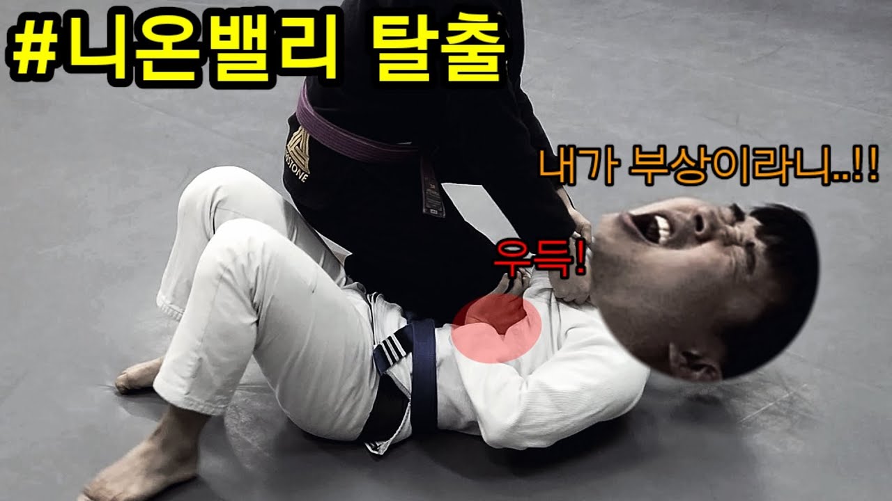 첫 스파링에 갈비뼈 부상?? 초보자라면 꼭 익혀야 할 주짓수 기술(니온밸리 탈출)