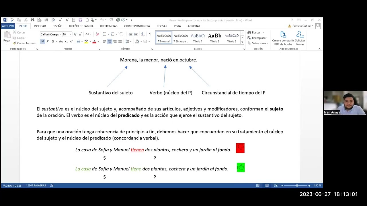 Herramientas para corregir los textos propios