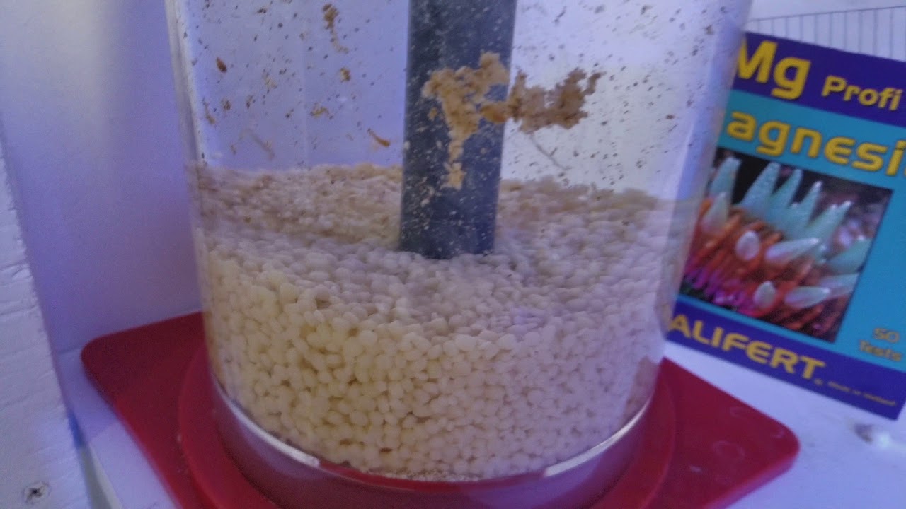 Bio pellets and Gfo for beginners