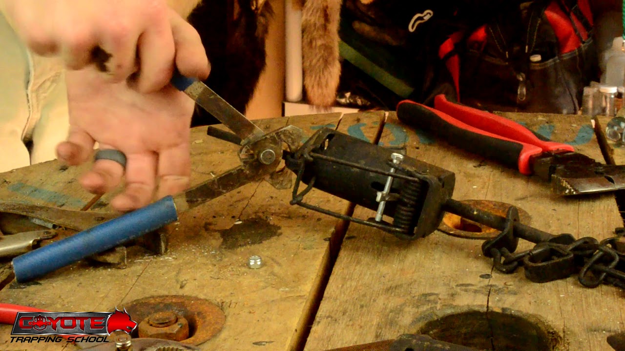Duke Dog Proof Trap - converting to push pull round trigger