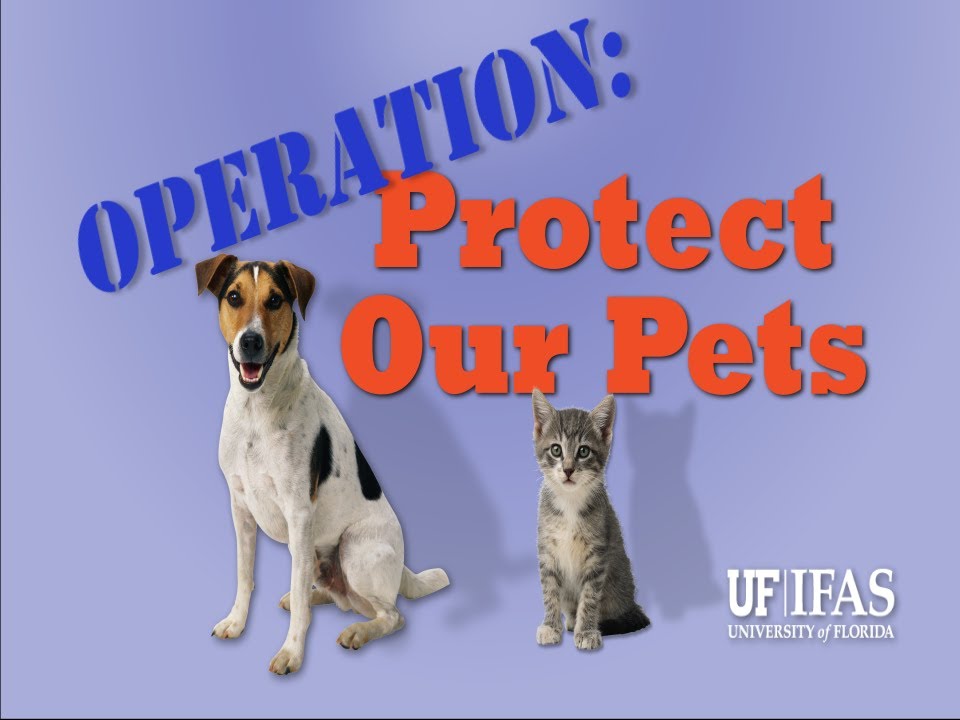 Operation: Protect Our Pets - Dealing with Ticks