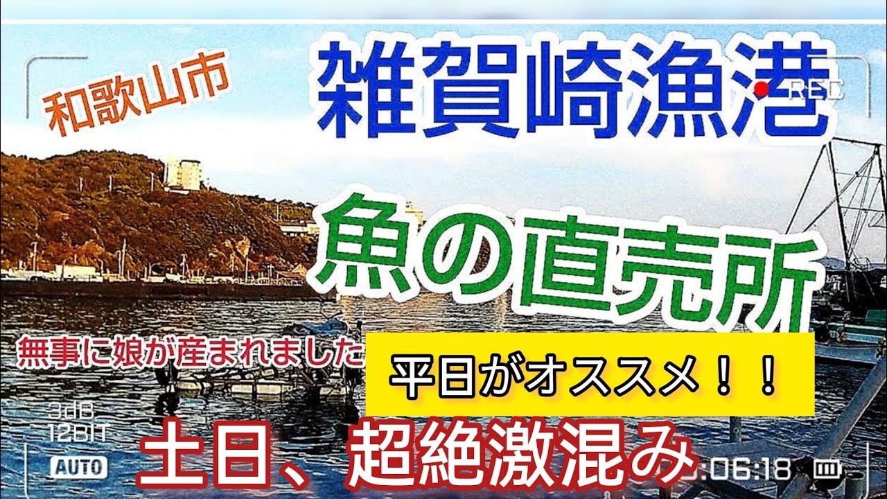 和歌山【雑賀崎漁港】鮮魚の直接販売所へ行ってきた！土日は、超絶激混み、行くなら平日がオススメ！！