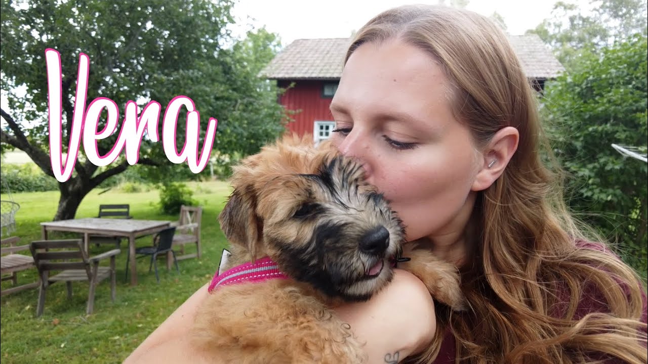 Hämtar valpen Vera | vlogg