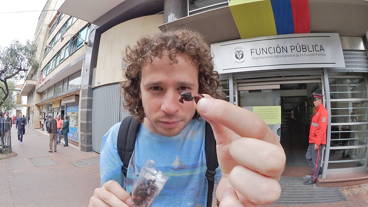 Comiendo HORMIGAS en Colombia!