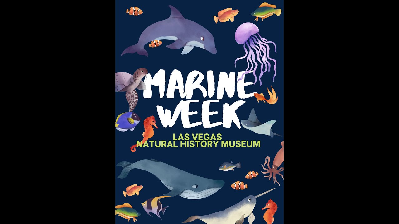 Ocean Diversity with Dr.  Lauren Parry