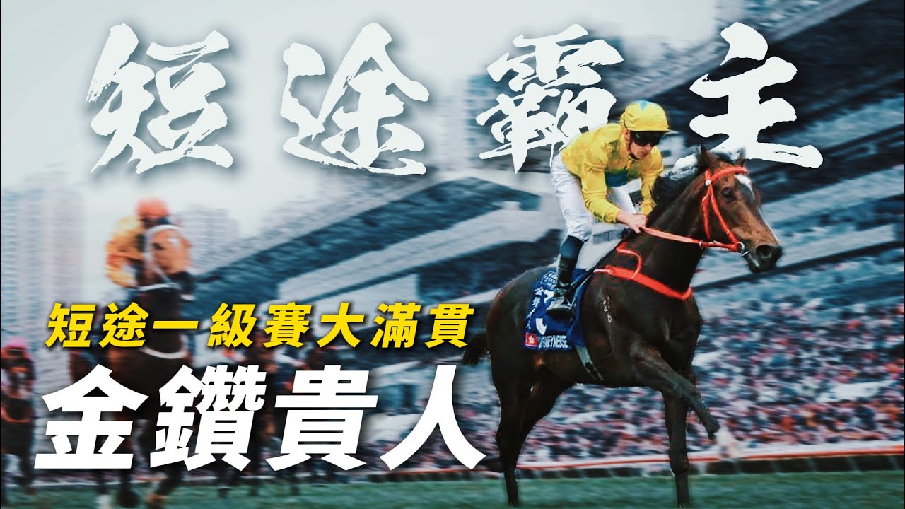 四歲一季八捷！香港速度系列三冠王｜金鑽貴人｜夥拍梁家俊遠征日本短途馬錦標能否重返巔峰？｜文家良｜潘頓｜