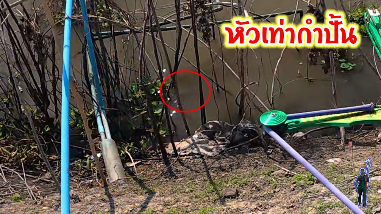 สับเด้ง สับโดด