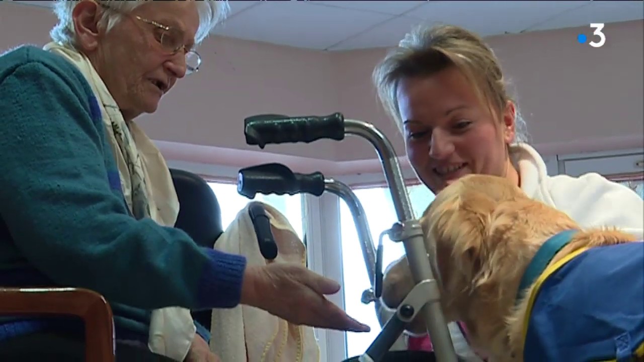 A S&eacute;verac d'Aveyron, un chien soigne les r&eacute;sidents d'une maison de retraite