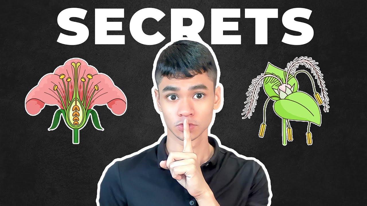 Reproduction In Plants Just Got So Much Easier