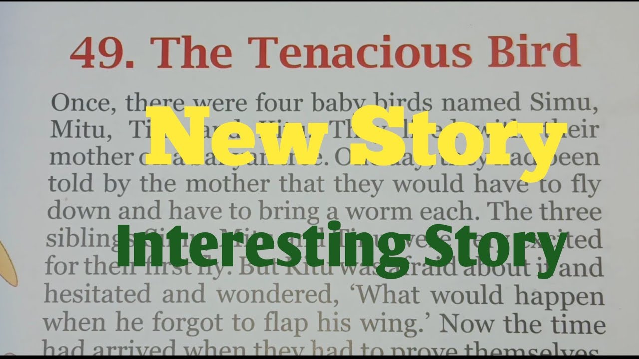The Tenacious Bird 🐦🐦‍⬛ English Seekhen Bilkul Zero Se 💯 %.