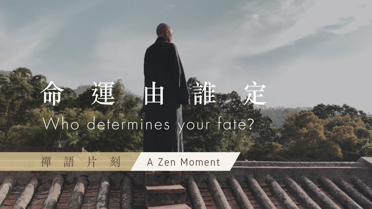 【禪語片刻 A Zen Moment】 第六集 命運由誰定 | EP6 Who determines your life?