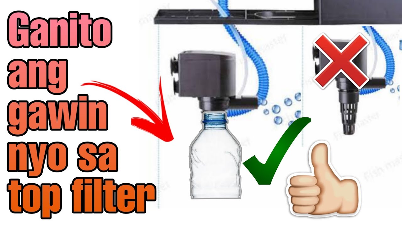 How to Setup Top Filter for Aquarium?