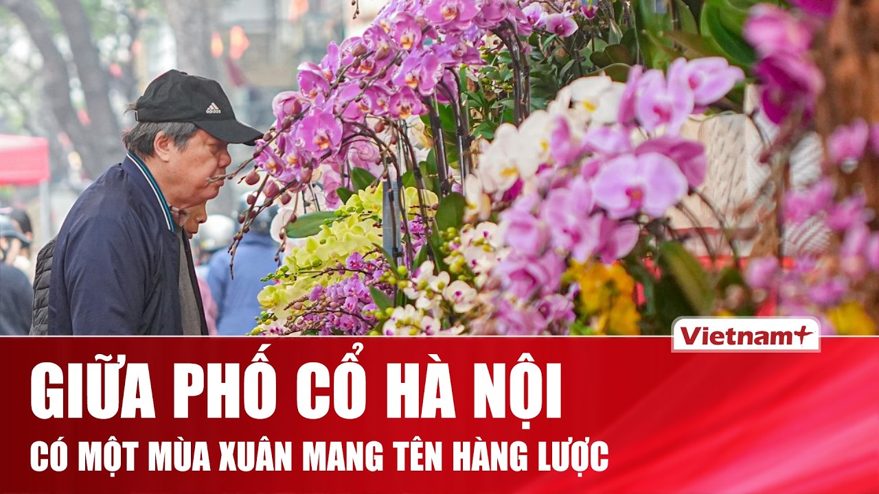 Tết ở chợ hoa Hàng Lược – phiên chợ cả năm chỉ họp một lần nhưng lưu giữ trọn vẹn hồn xuân Hà Nội