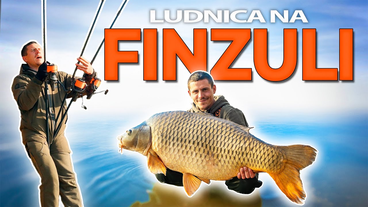 Ribolovni raj: Finzula u svom najboljem izdanju! | Šaranski ribolov