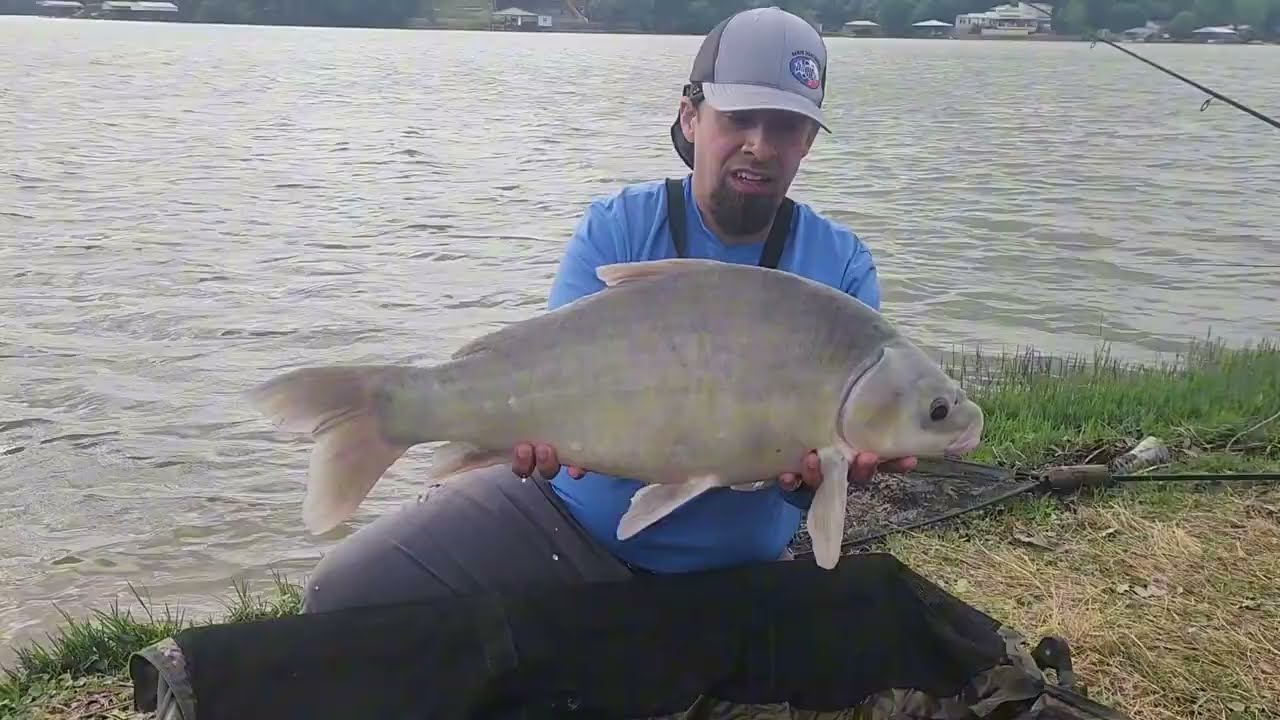 Windy Feeder Session at my Local Lake #feederfishing #munchbaits #carprun #DaiwaNZON #kingcrab