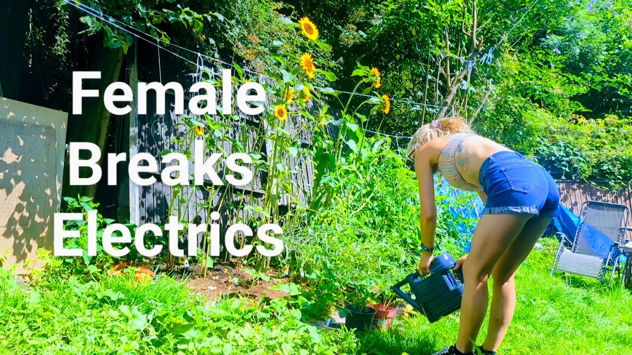 🌻Clueless Female attempts to Move Batteries ⚡ Successfully builds Temporary Shower 🚿 🌻🐶🍅