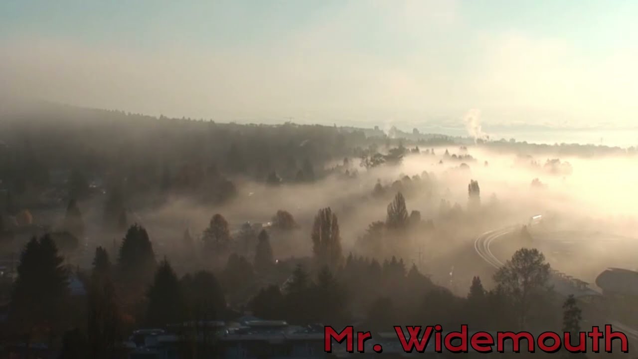 Mr. Widemouth Creepypasta