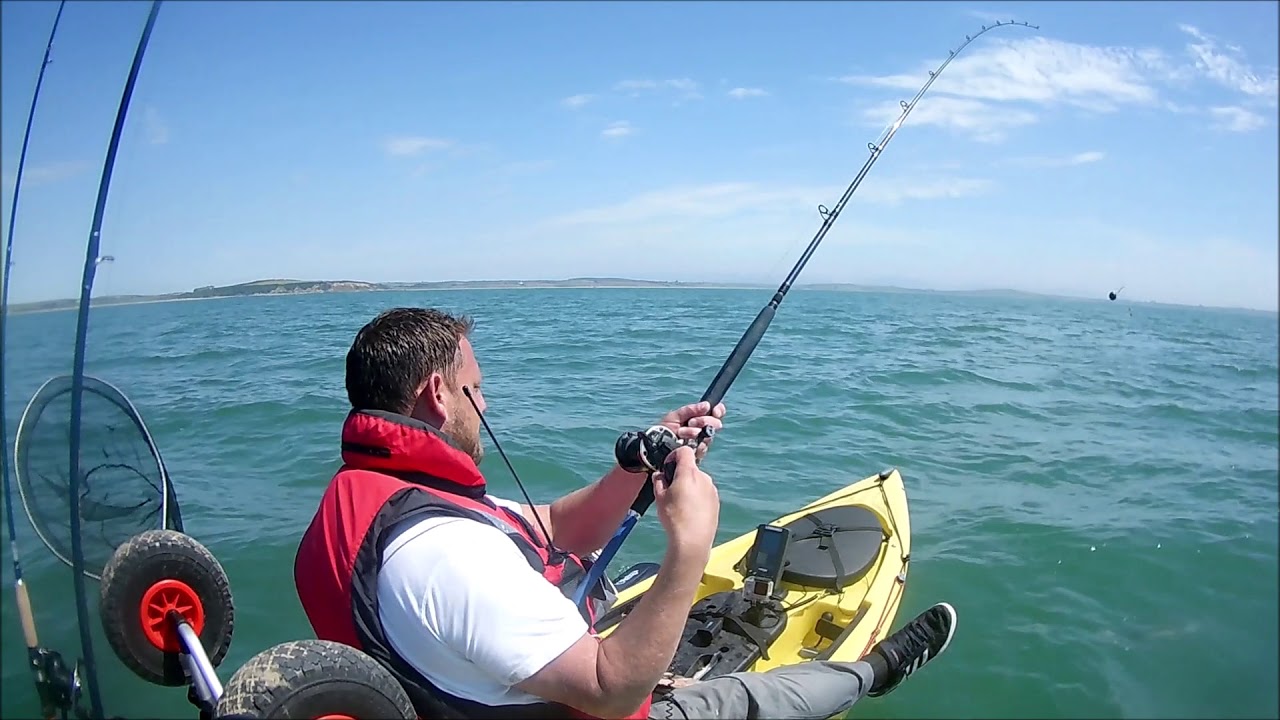 kayak fishing holyhead anglesey dogfish and rays
