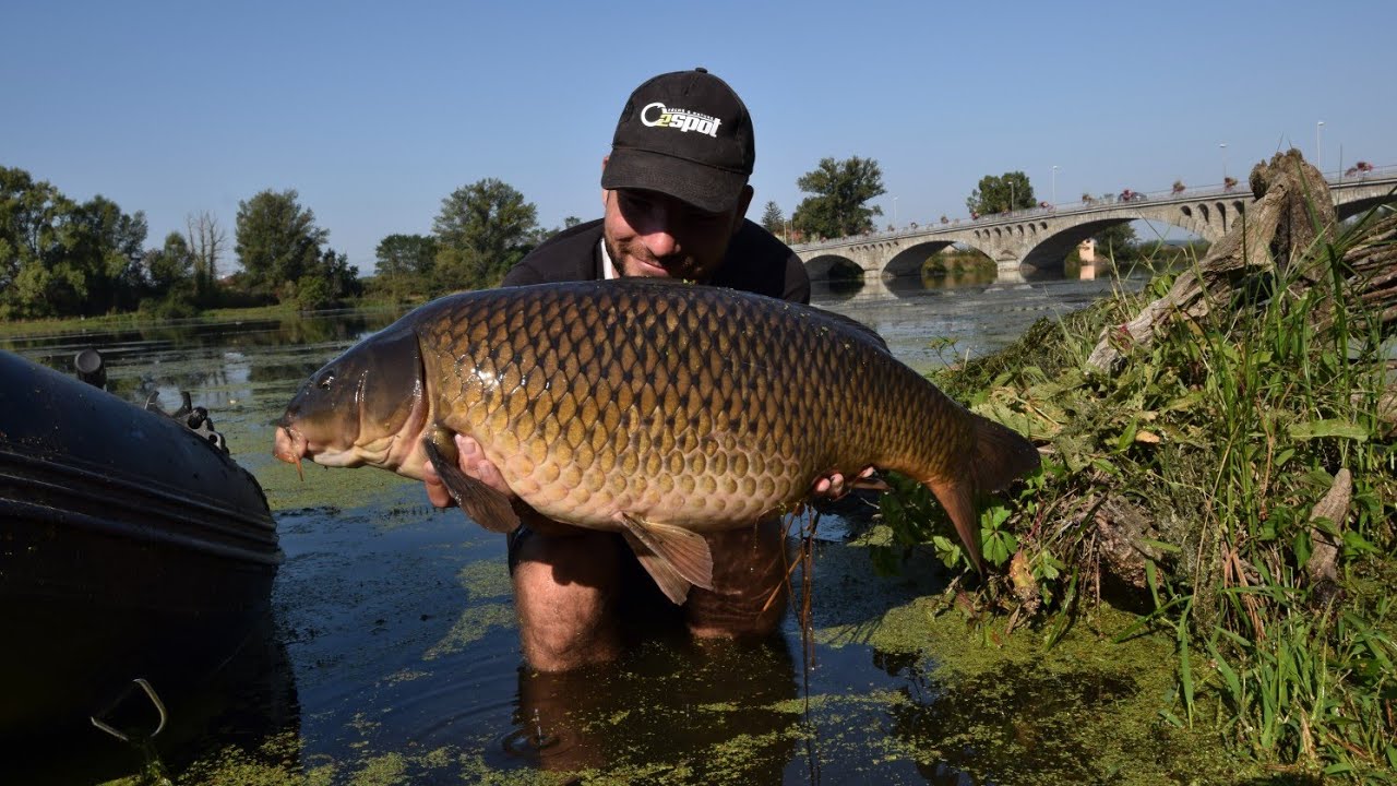 💥Comment aborder la peche de la carpe en Loire💥