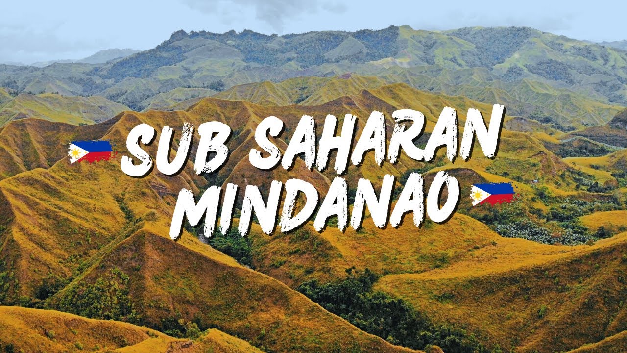 Sub Saharan Mindanao x Dj Ronzkie | RmX 2025