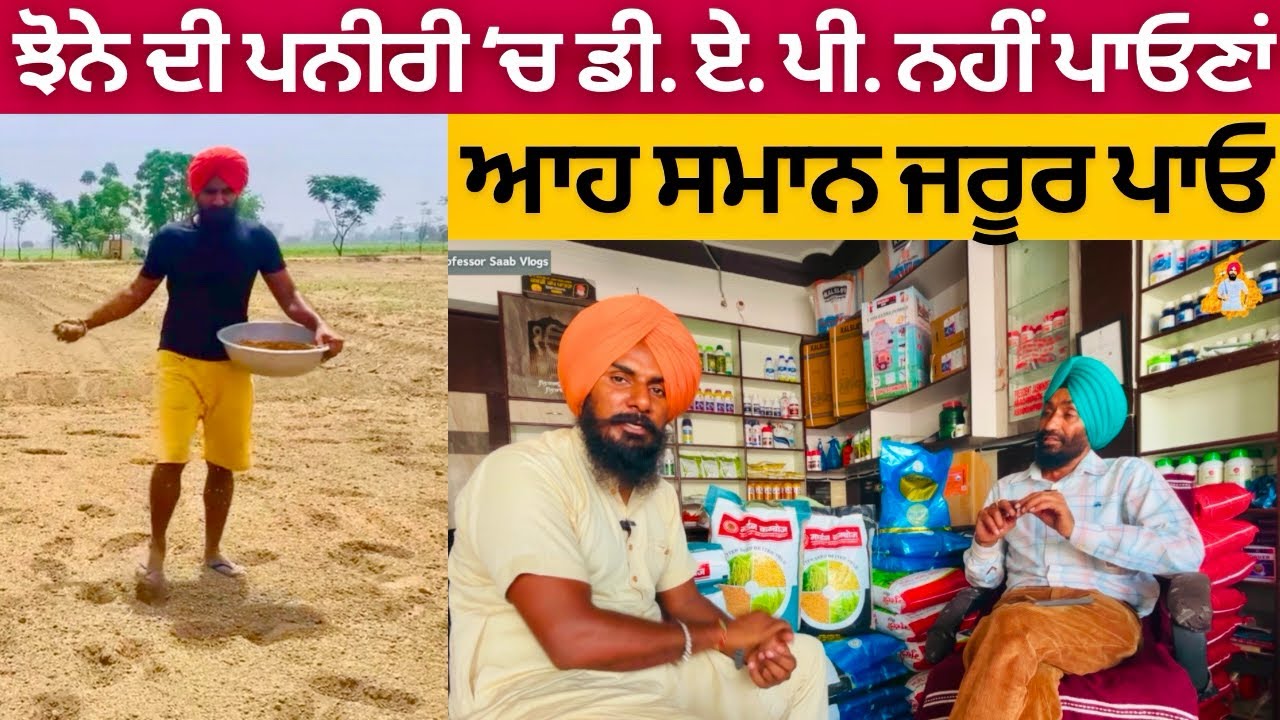 ਝੋਨੇ ਦੀ ਪਨੀਰੀ ਦੀ ਬਿਜਾਈ ਇੰਝ ਕਰੋ | Peddy Crop Information | Professor Saab Vlogs #peddy