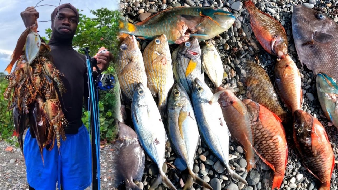 3Days Spearfishing | Shark Attack My Catch | Night River Hunting | Portland Jamaica🇯🇲 