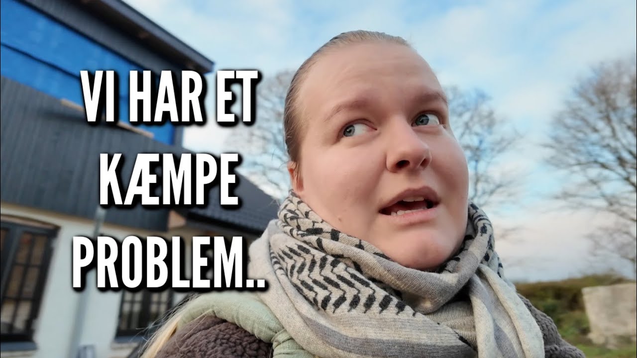 Vi h&aelig;nger julelys op, tager store beslutninger og har et k&aelig;mpe problem | Livet p&aring; g&aring;rden Ep. 69