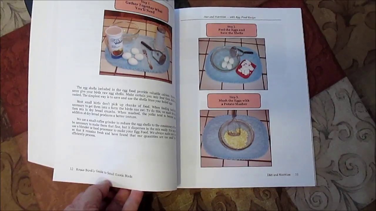 Rosie Bird's Guide to Small Exotic Birds -- Bird Book is Now Available