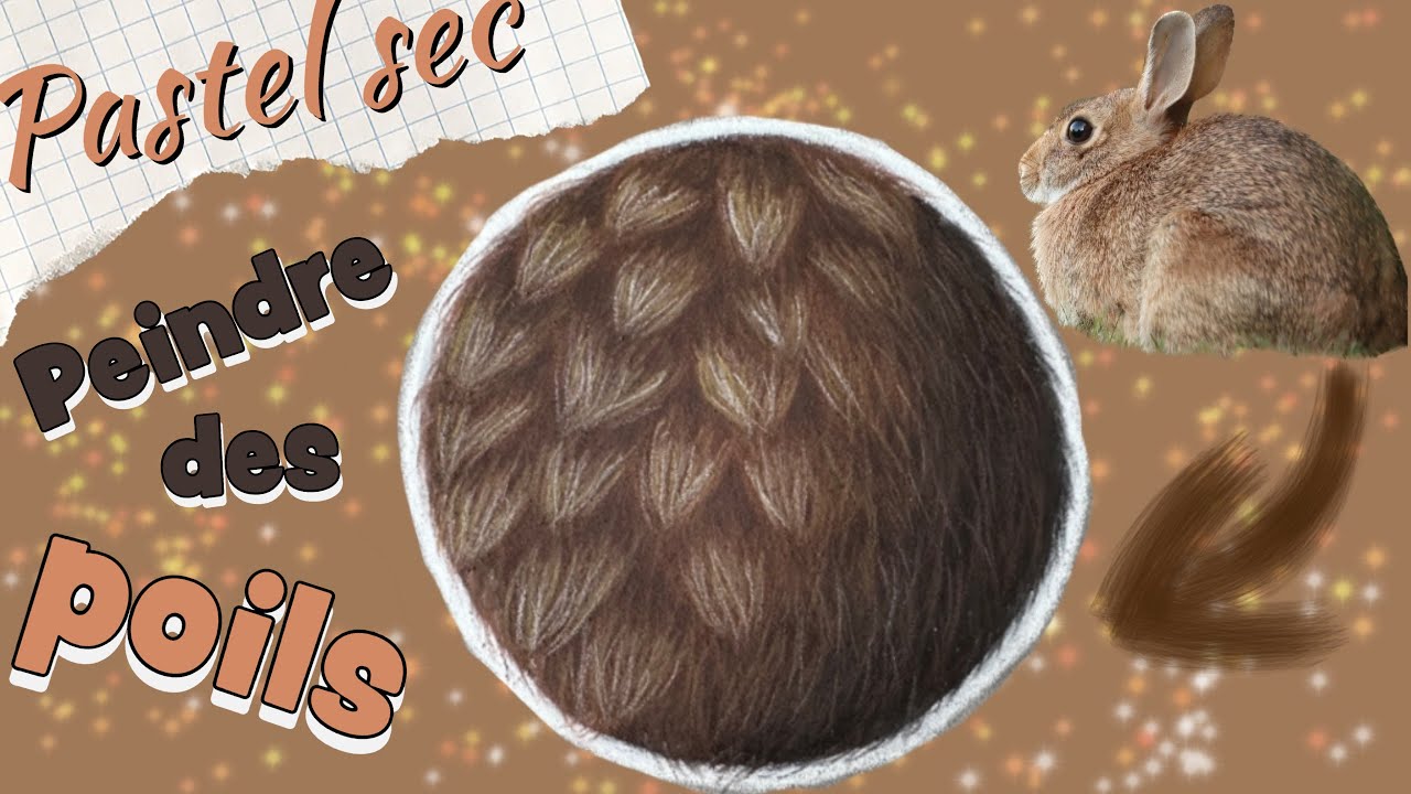 TUTO comment peindre des POILS 🐻 (fourrure) marron aux PASTELS SECS | SOFTPASTEL