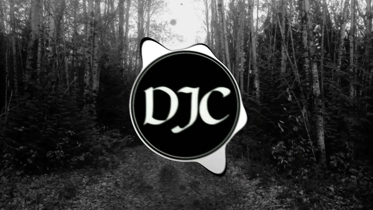 Hatcha - Vision