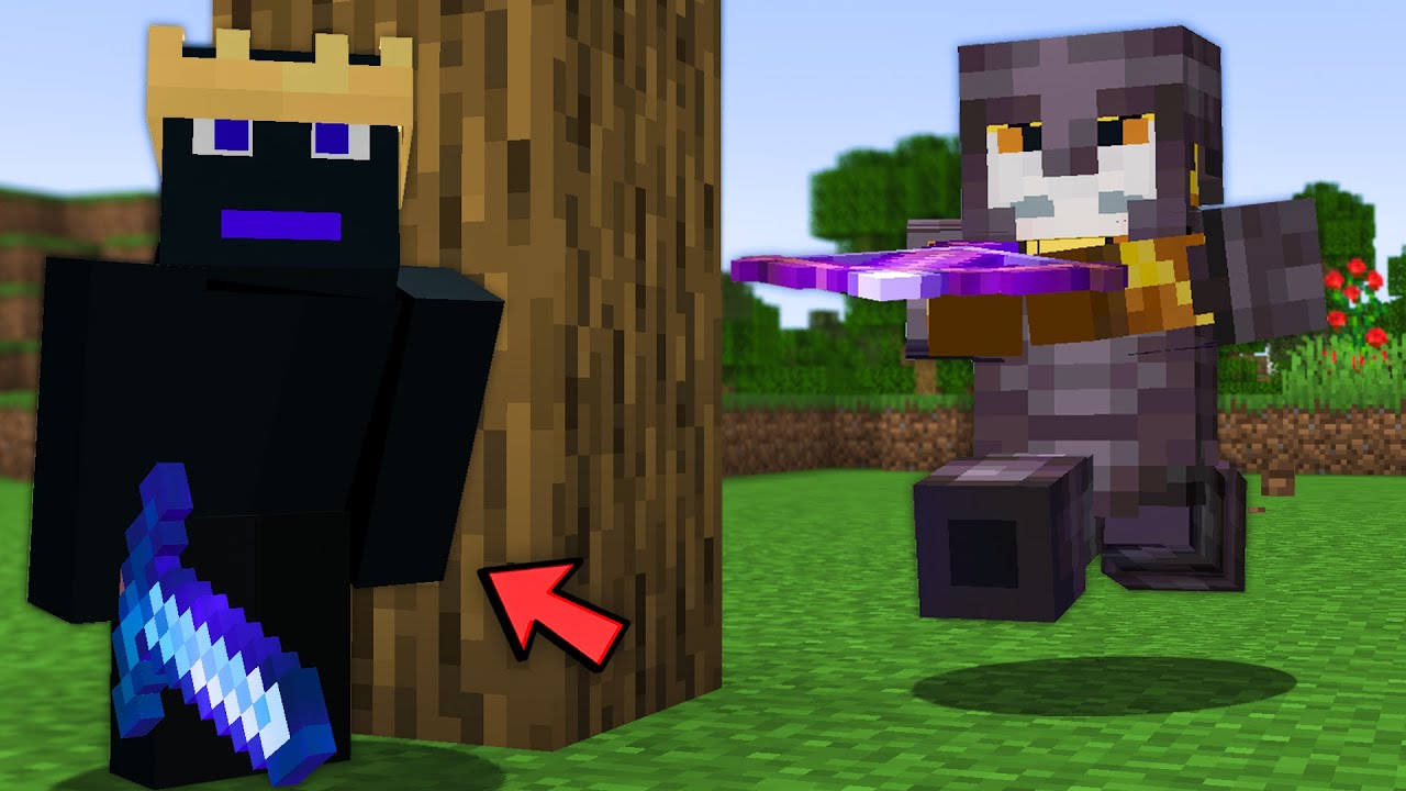 J'ai Traqu&eacute; ce Joueur pendant 3 Jours sur Minecraft..