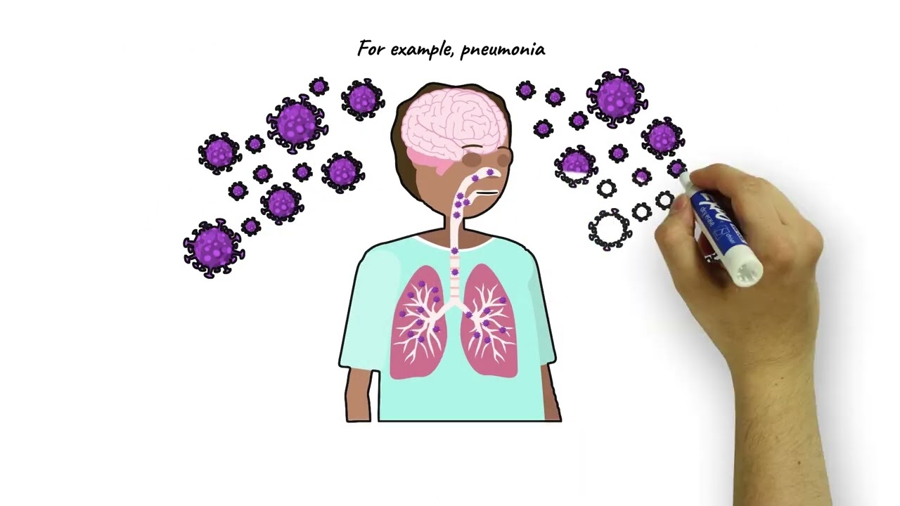 Science Animated Whiteboard Showreel