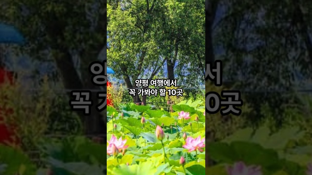 양평 관광지 10곳 #양평#여행#관광#국내관광#국내여행#여행지