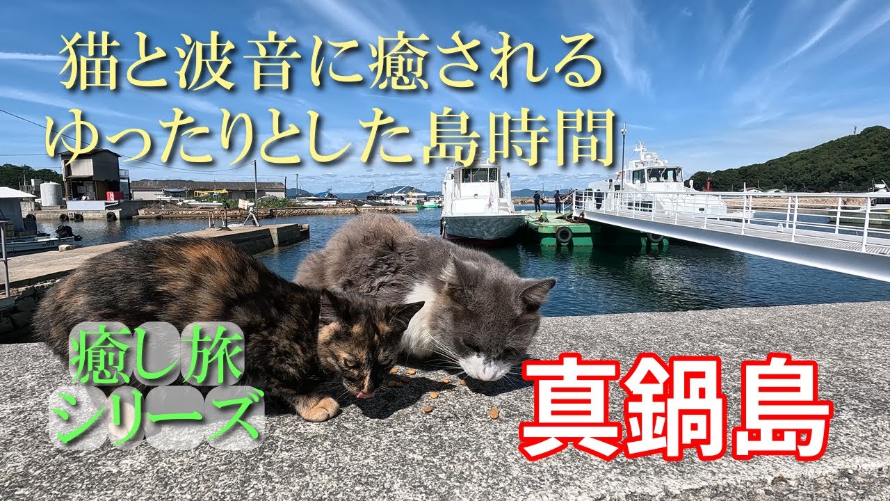 【岡山旅】真鍋島篇｜猫と波音に心ほどける“癒しの島時間”【瀬戸内】Manabeshima – Healing Island Time with Cats and Waves