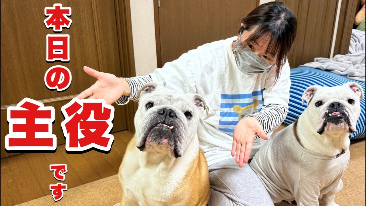 祝‼︎ぶるまる5歳誕生祭ライブ‼︎