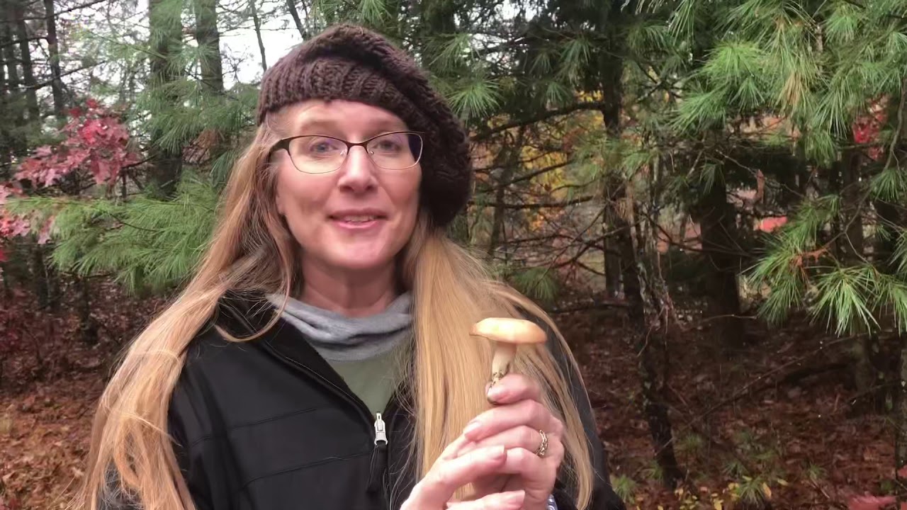Foraging adventure with Rachel Goclawski in MA!