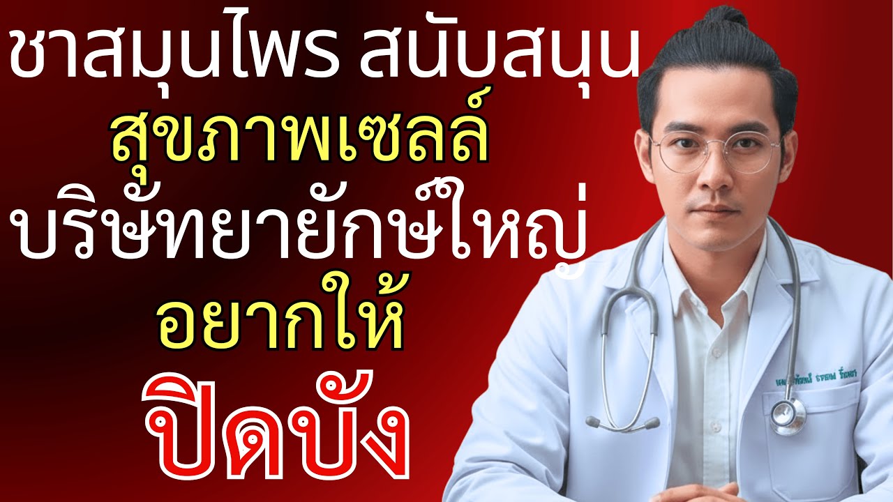 16 ชาสมุนไพรที่ผมค้นพบ — ช่วยสนับสนุนสุขภาพเซลล์ แต่ทำไมไม่ค่อยมีคนพูดถึง?