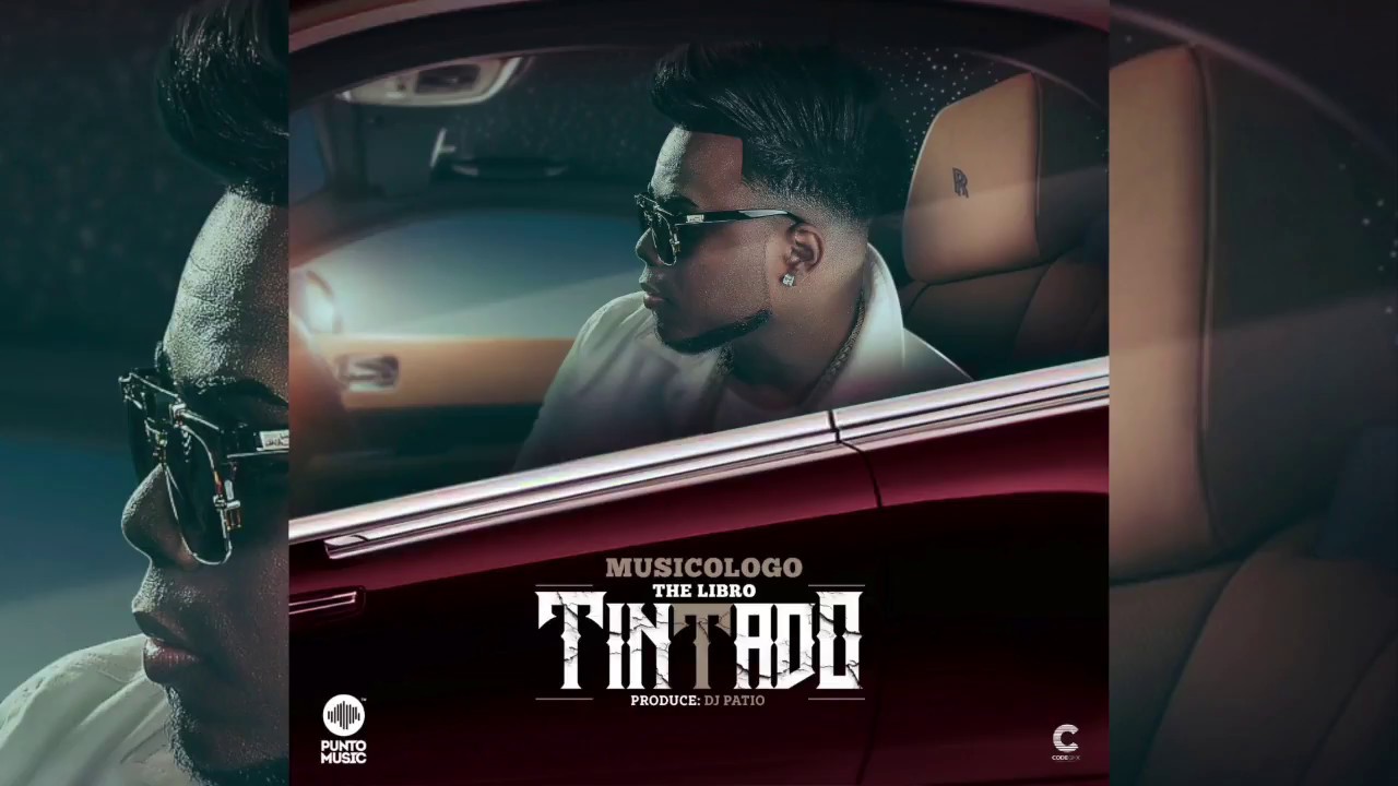 Musicologo The Libro - Tintado