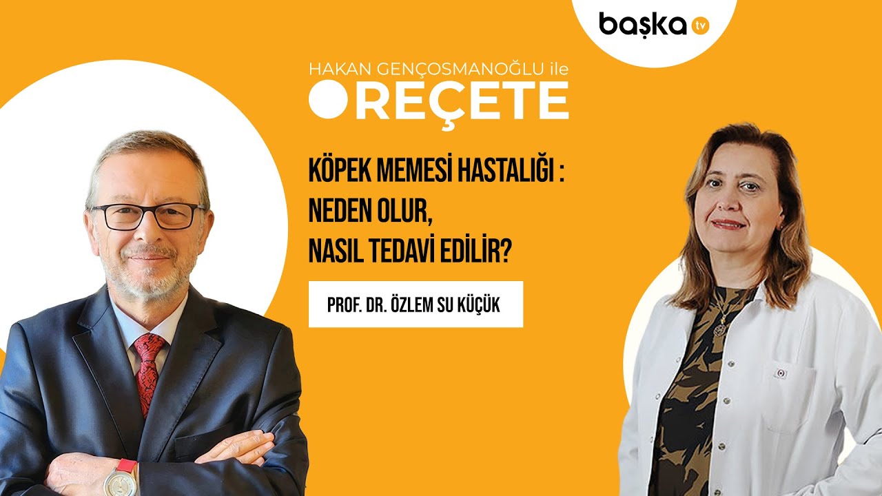 Köpek Memesi Hastalığı : Neden Olur, Nasıl Tedavi Edilir?