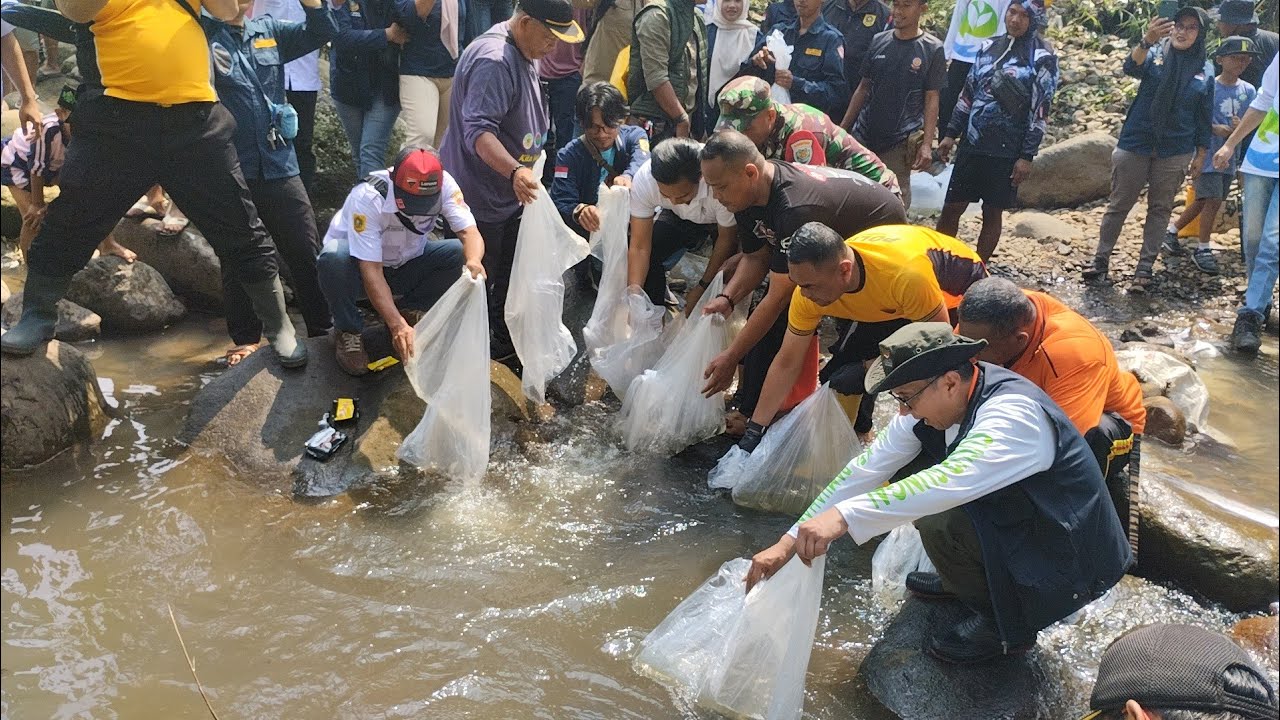 SUSUR SUNGAI, EVAKUASI SAMPAH, TEBAR BENIH IKAN, NGARIUNG BARENG SAMBIL MANCING DI SUNGAI CIGAMEA 