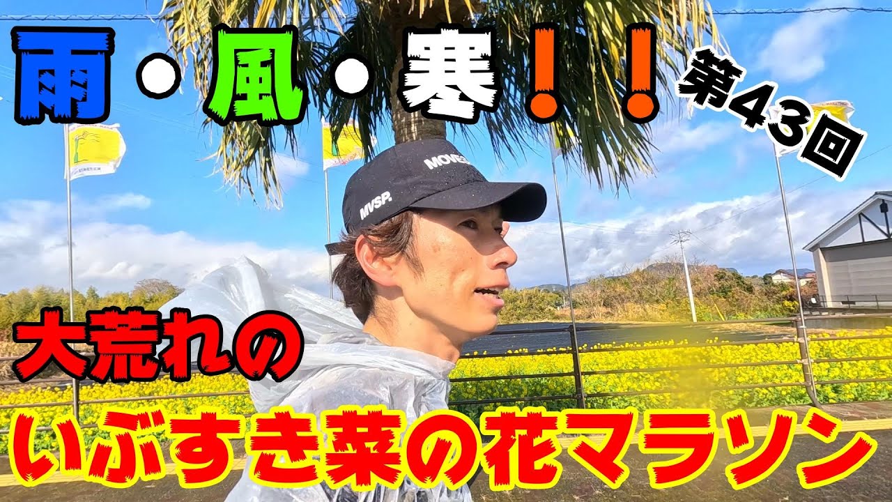 【大荒れ！】雨・強風・寒！過去一過酷だった指宿菜の花マラソン