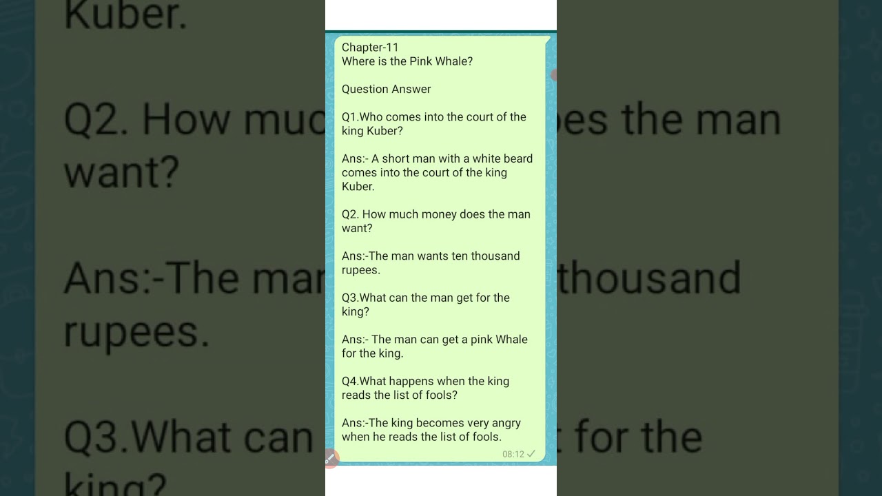 Chapter-11 Where is the Pink Whale (Question Answer Understanding)