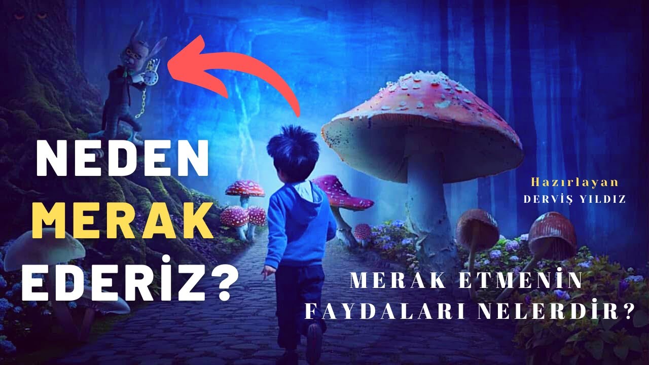 Neden Merak Ederiz? | Merak Etmenin Faydaları Nelerdir?  @yildizdervis