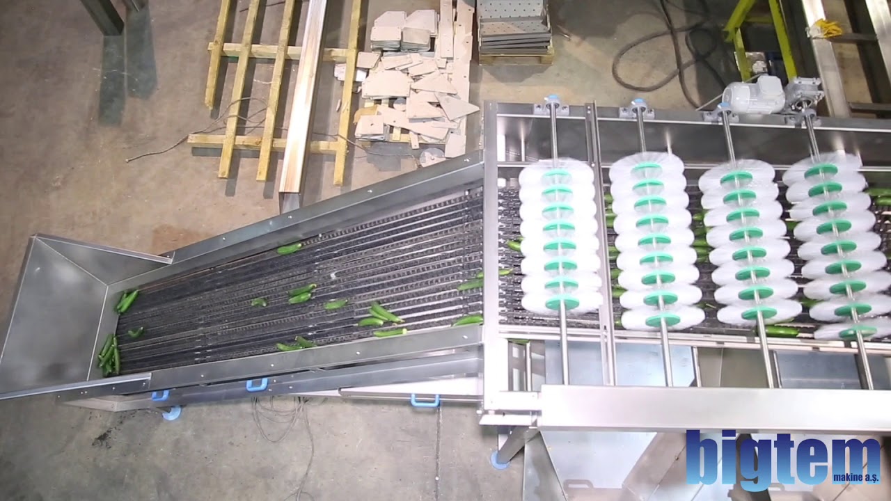 SALATALIK BOYUTLAMA MAKİNESİ / CUCUMBER SIZE GRADER