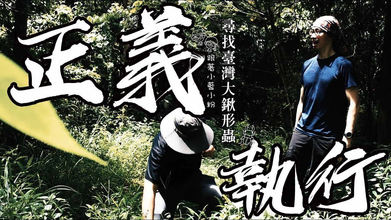【尋找台灣大鍬形蟲】第一集