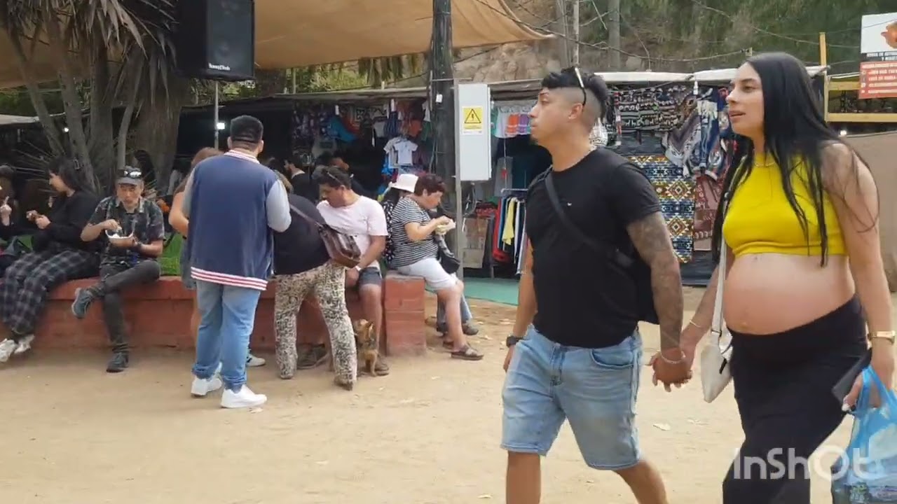QUINTA  VERGARA . (  PARQUE  POTRERILLOS  )   FERIA  (  ARTEQUIN  2026  )